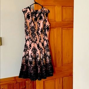 Rose fit and flare dress for office or dinner out.